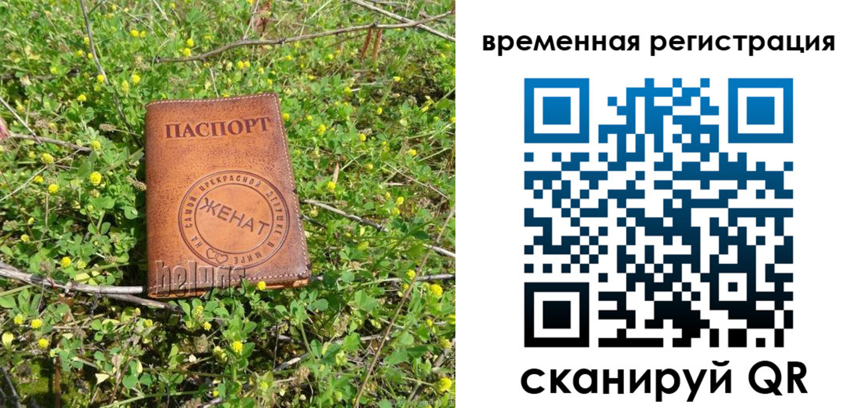 прописка регистрация в Порхове
